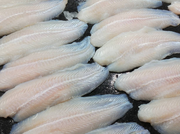 Fillet dory fish ready for sale in seafood market or supermarket.